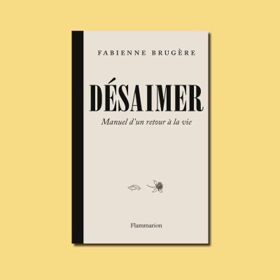 Désaimer. Entretien avec Fabienne Brugère cover