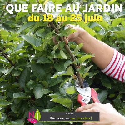 QUE FAIRE DANS LE JARDIN DU 18 AU 25 JUIN ? cover