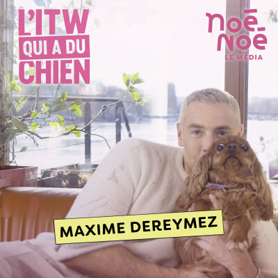 L'histoire de Maxime Dereymez, Foxtrott et Ginger cover