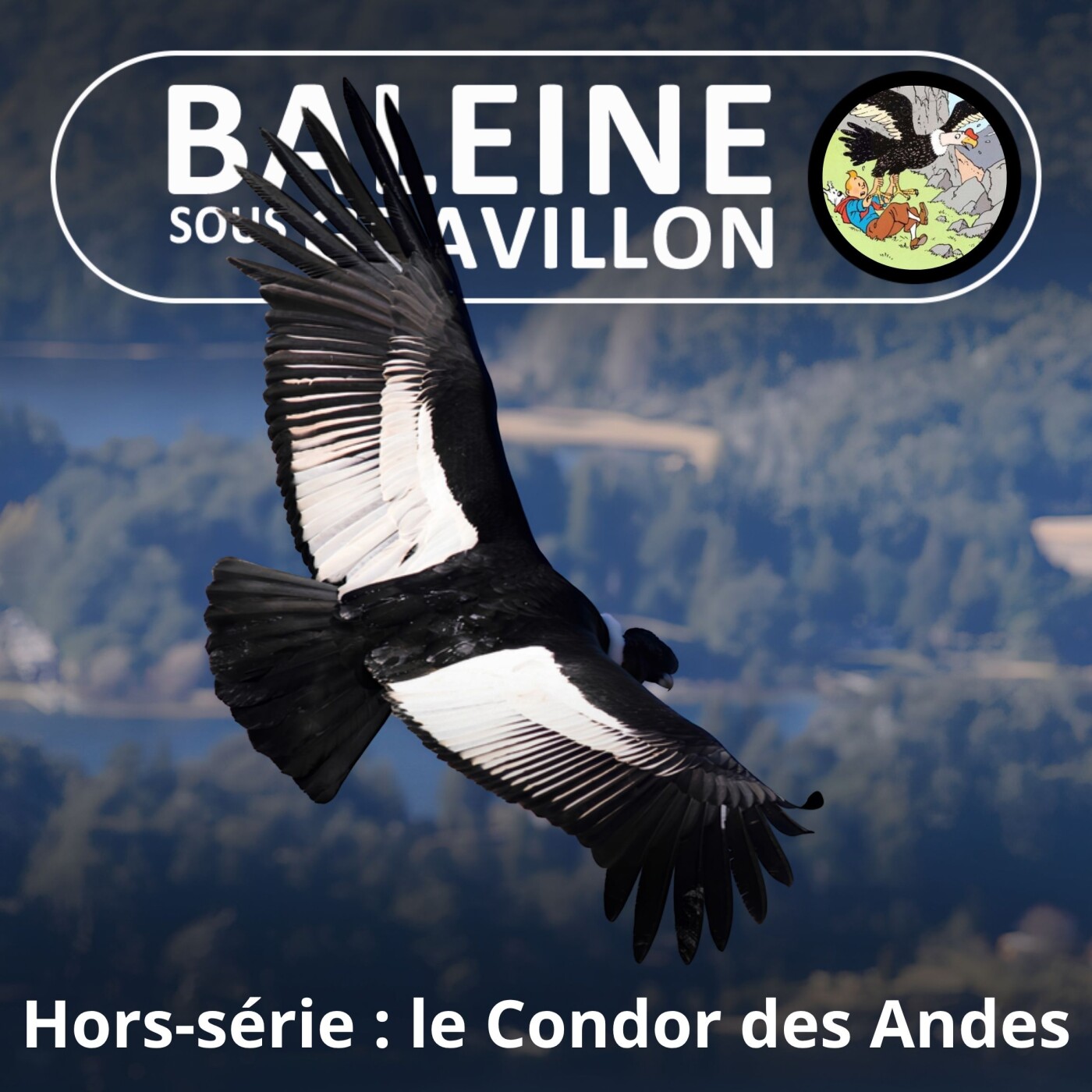 HORS-SÉRIE : Et le Condor des Andes passa... episode artwork
