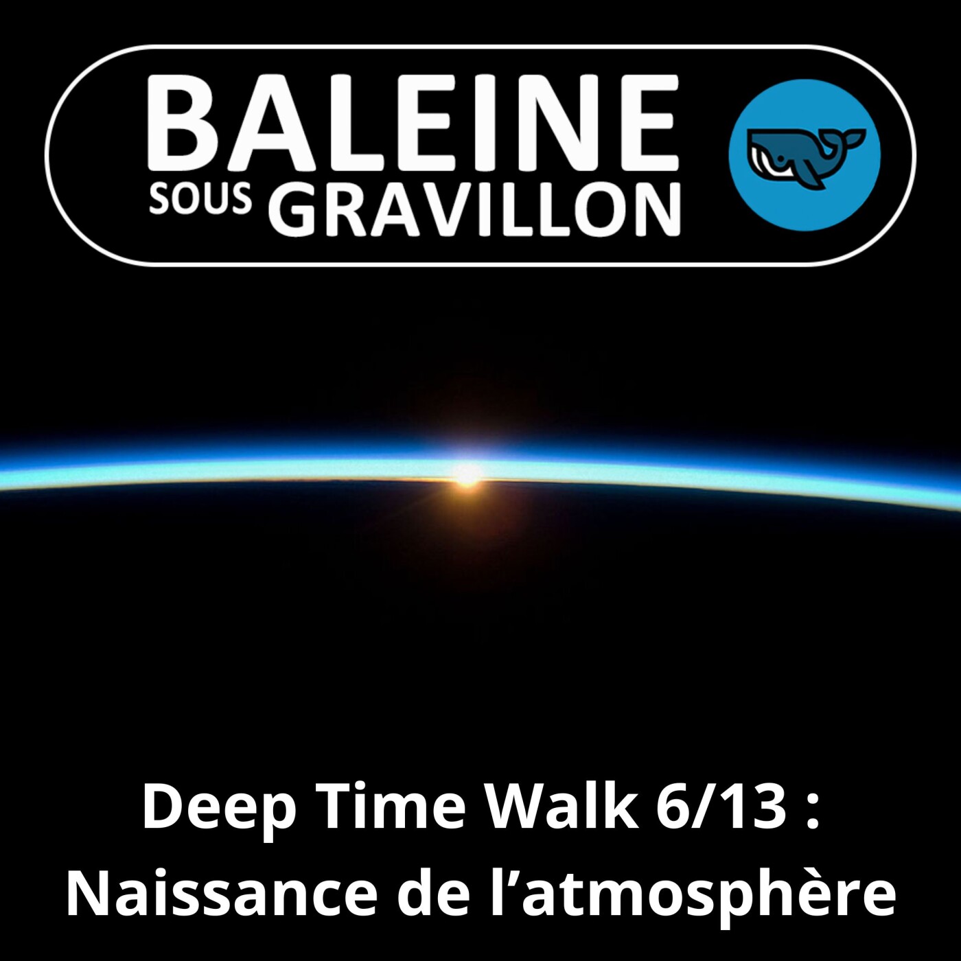 Baleine sous Gravillon