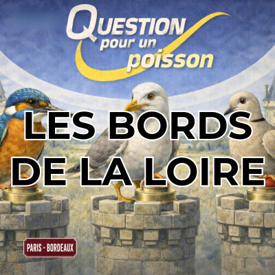 Paris Bordeaux 3 : Poisson Quiz ! cover