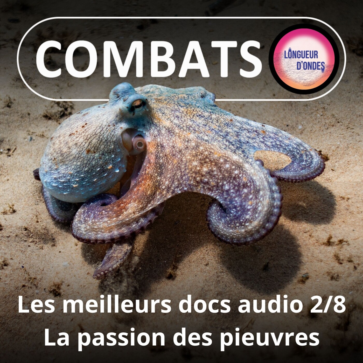 S05E78 Festival Longueur d'ondes 2/8 : La passion des pieuvres et autres personnes non-humaines (Franck Bessière)