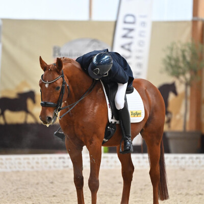 🧘♀️ Mindset • Fêtez les petits victoires cover