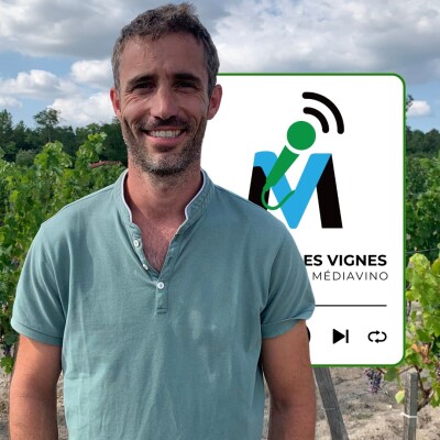 Côtes-de-Bourg I Château Moulin des Blais, Guillaume Guerin, Le Blanc Retrouvé (Extrait) cover