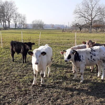 Muttersholtz : Nouvelle opération Ferme ouverte cover