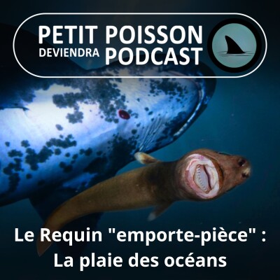 S04E27 Le requin "emporte-pièce", : Le pire cauchemar des monstres est un rikiki cover