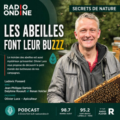 Les abeilles font leur BUZZZ cover