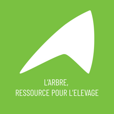 L’arbre, ressource pour l’élevage face au climat #EP.01 La ferme des Etablières [Chambre d’agriculture Pays de la Loire] cover