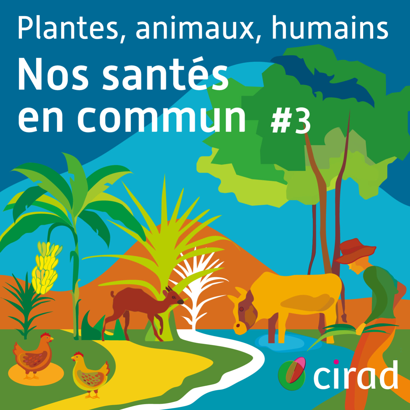 (Nourrir le Vivant) – Un sol vivant