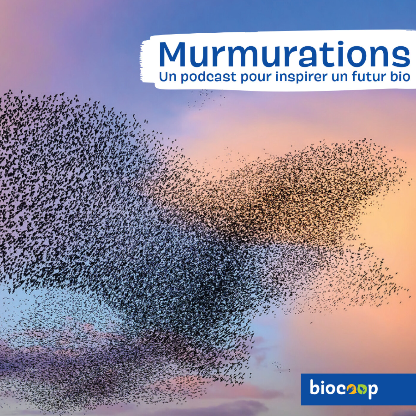 MURMURATIONS - Un podcast Biocoop pour inspirer un futur bio