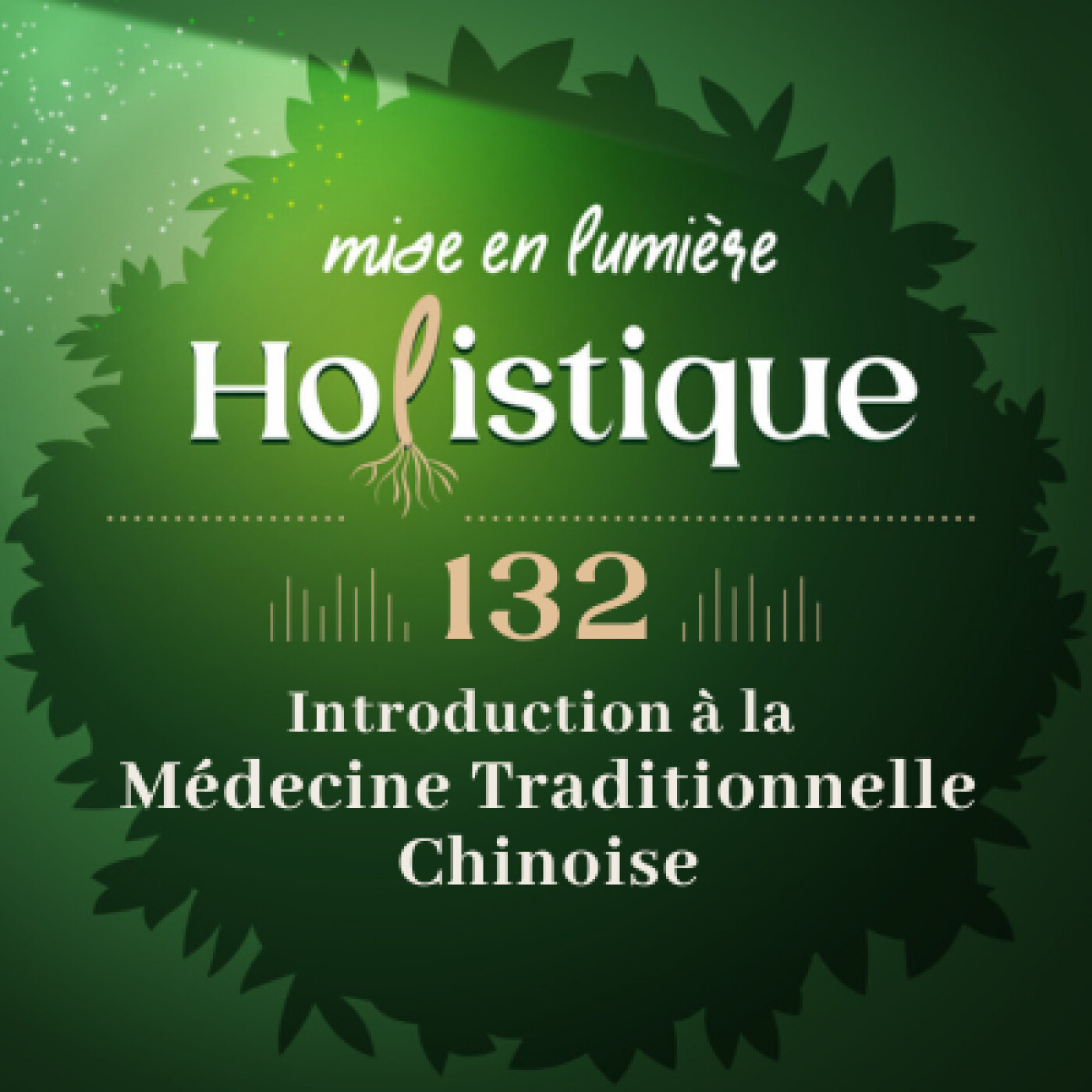 132. Introduction à la médecine traditionnelle chinoise
