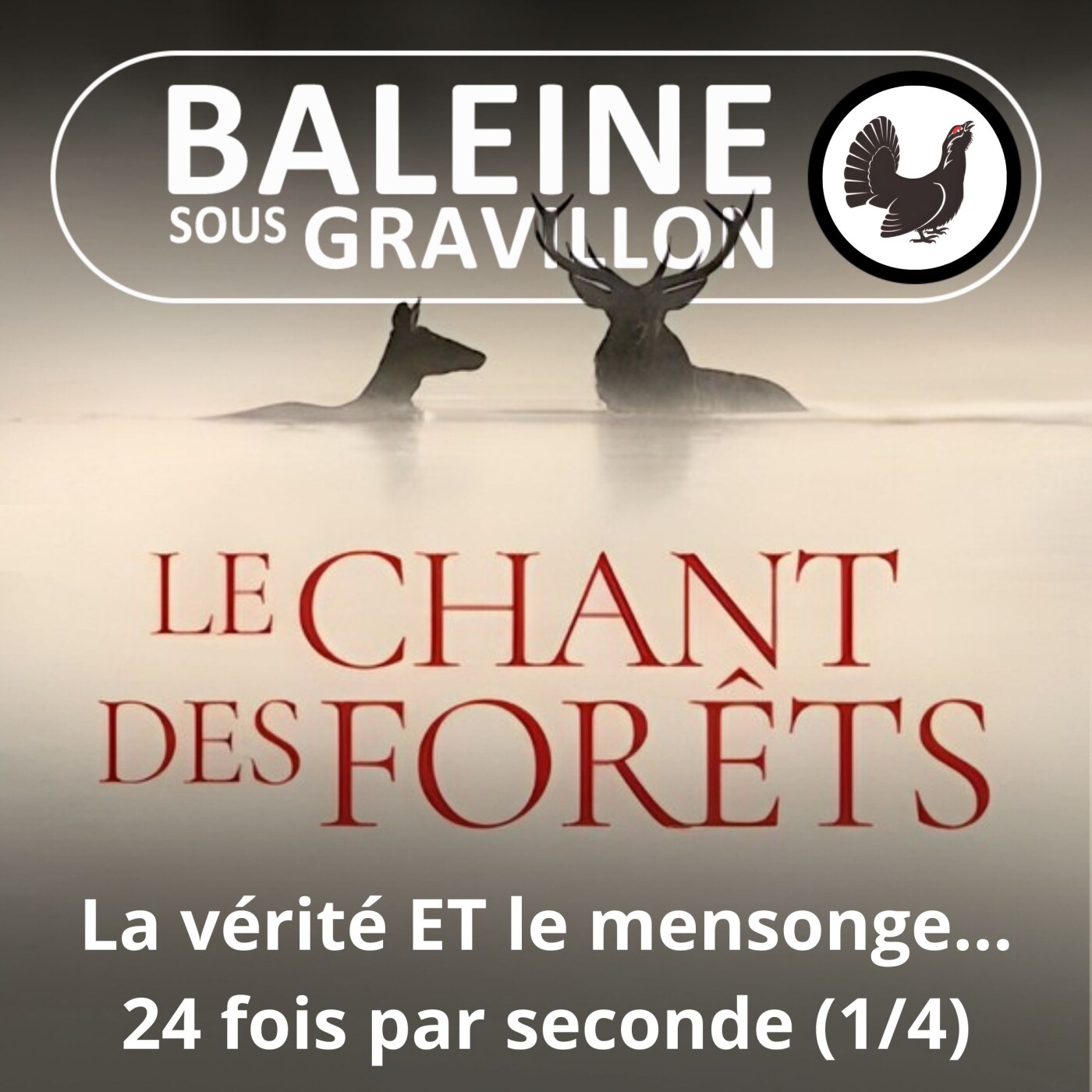 Baleine sous Gravillon