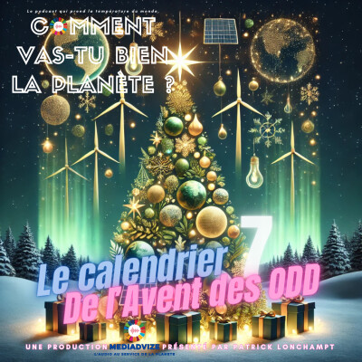JOUR 7 Transformons Noël ensemble : découvrez les Christmas Tree Donations et l'ODD 17 ! cover