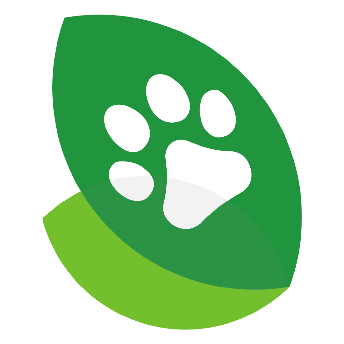 Nos émotions impactent notre chien !