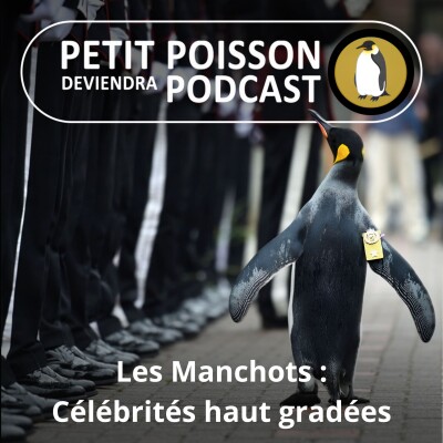 S05E21 Les Manchots : Célébrités haut gradées (Mathilde Chevallay) cover
