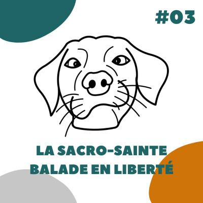 La sacro-sainte balade en liberté - DLN03 cover