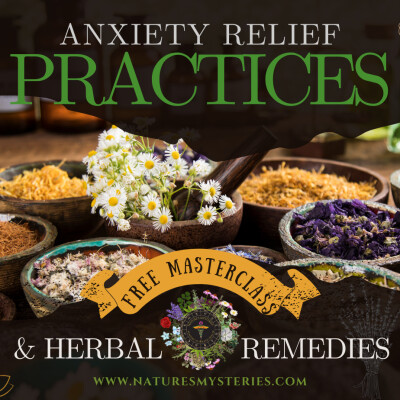 Anxiety Relief Practices & Herbal Remedies Free Masterclass cover