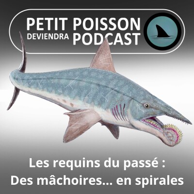 S04E24 Les requins les plus étonnants de la Préhistoire cover