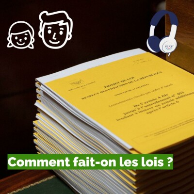 Comment fait-on les lois ? cover