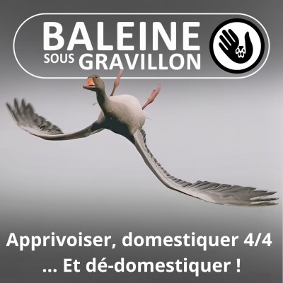 S07E173 Apprivoiser, domestiquer 4/4 : Après l'exploitation, quels liens pour l'avenir ? cover