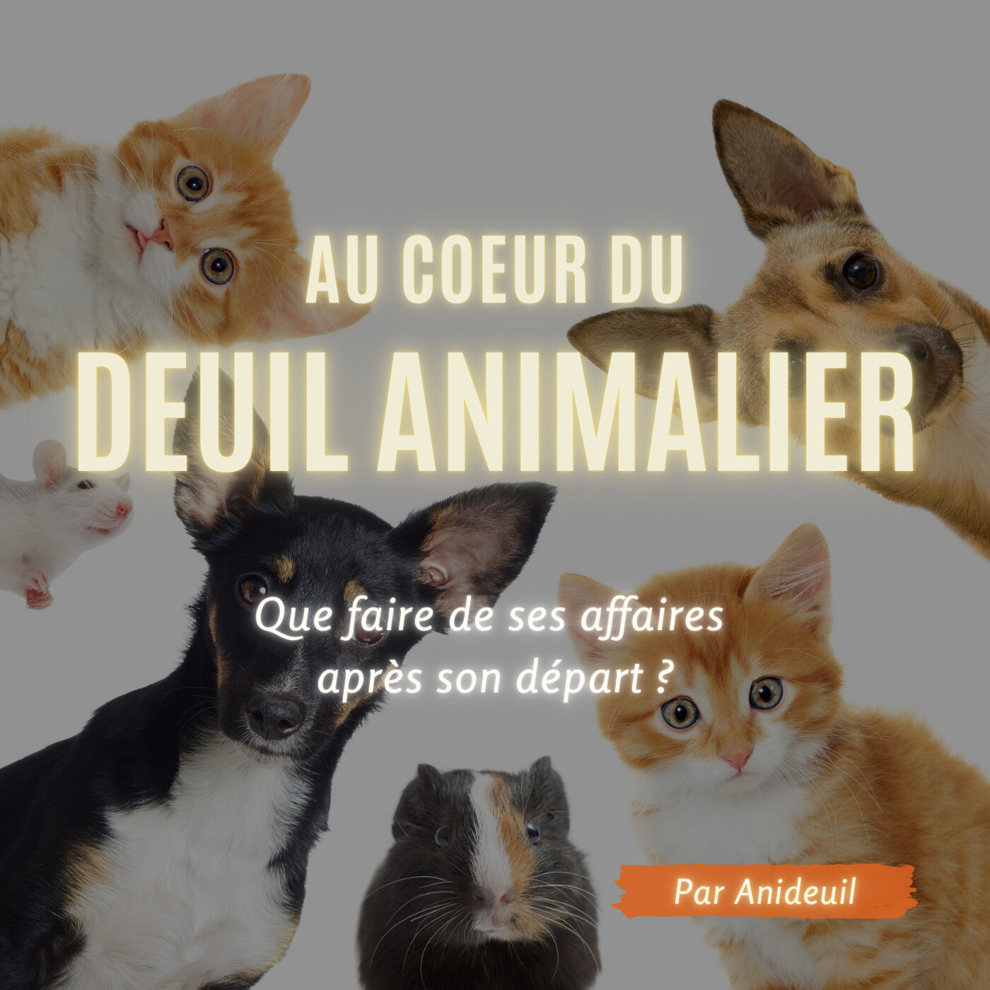 Au cœur du deuil animalier