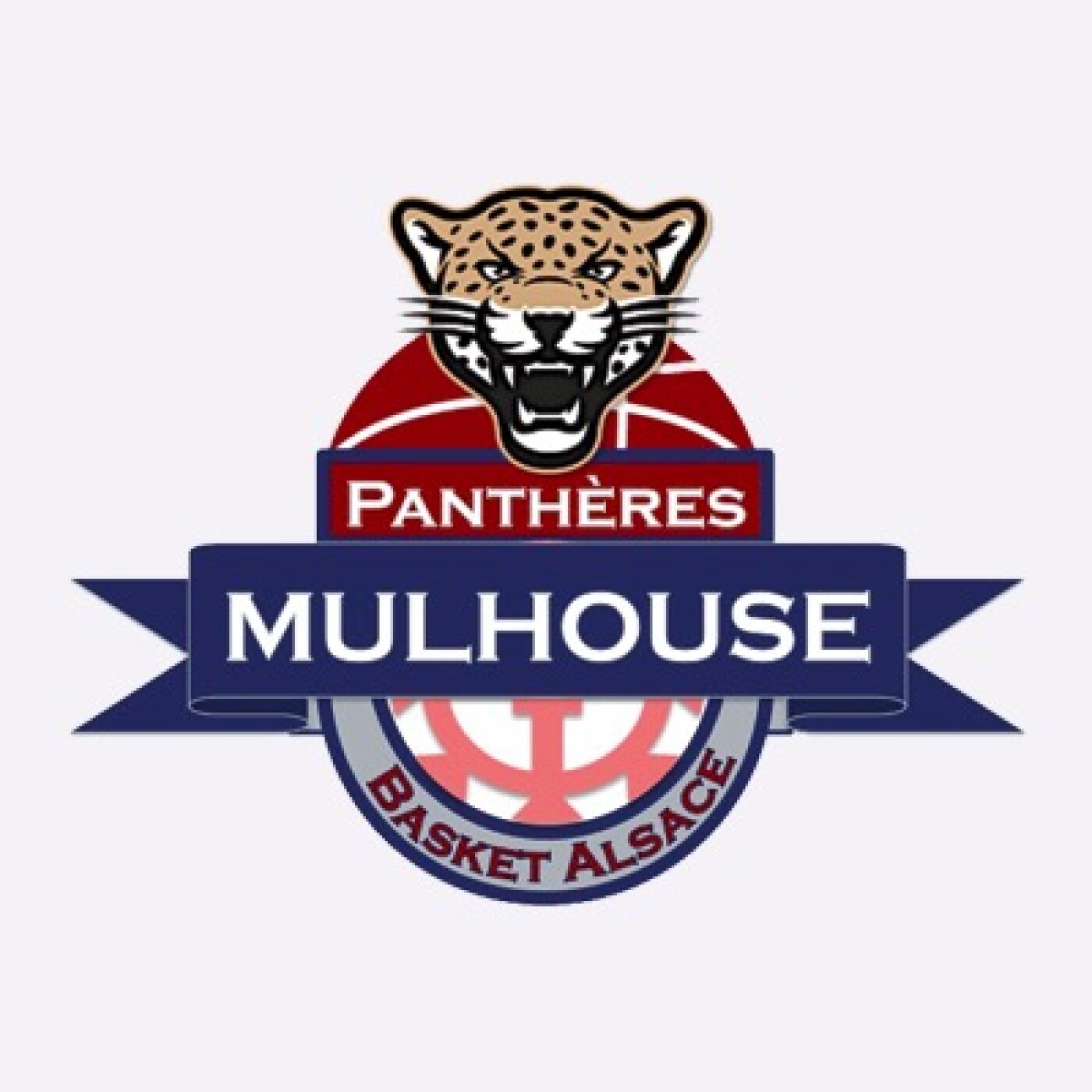 Panthères Mulhouse Basket Alsace (PMBA)
