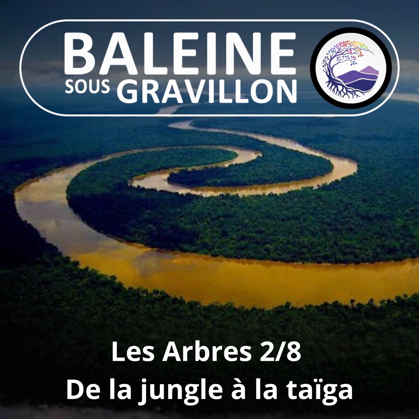 S03E81 Les Arbres 2/8 : De l'Amazonie à la forêt boréale (Ernst Zürcher) episode artwork