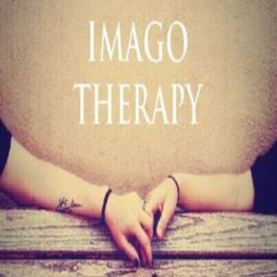 Thérapies Parallèles #26 _ La Thérapie Relationnelle Imago cover