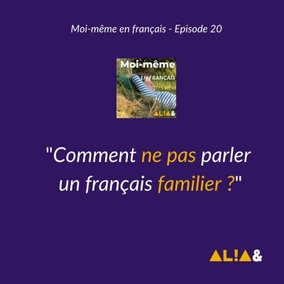 Comment ne pas parler un français familier ? cover