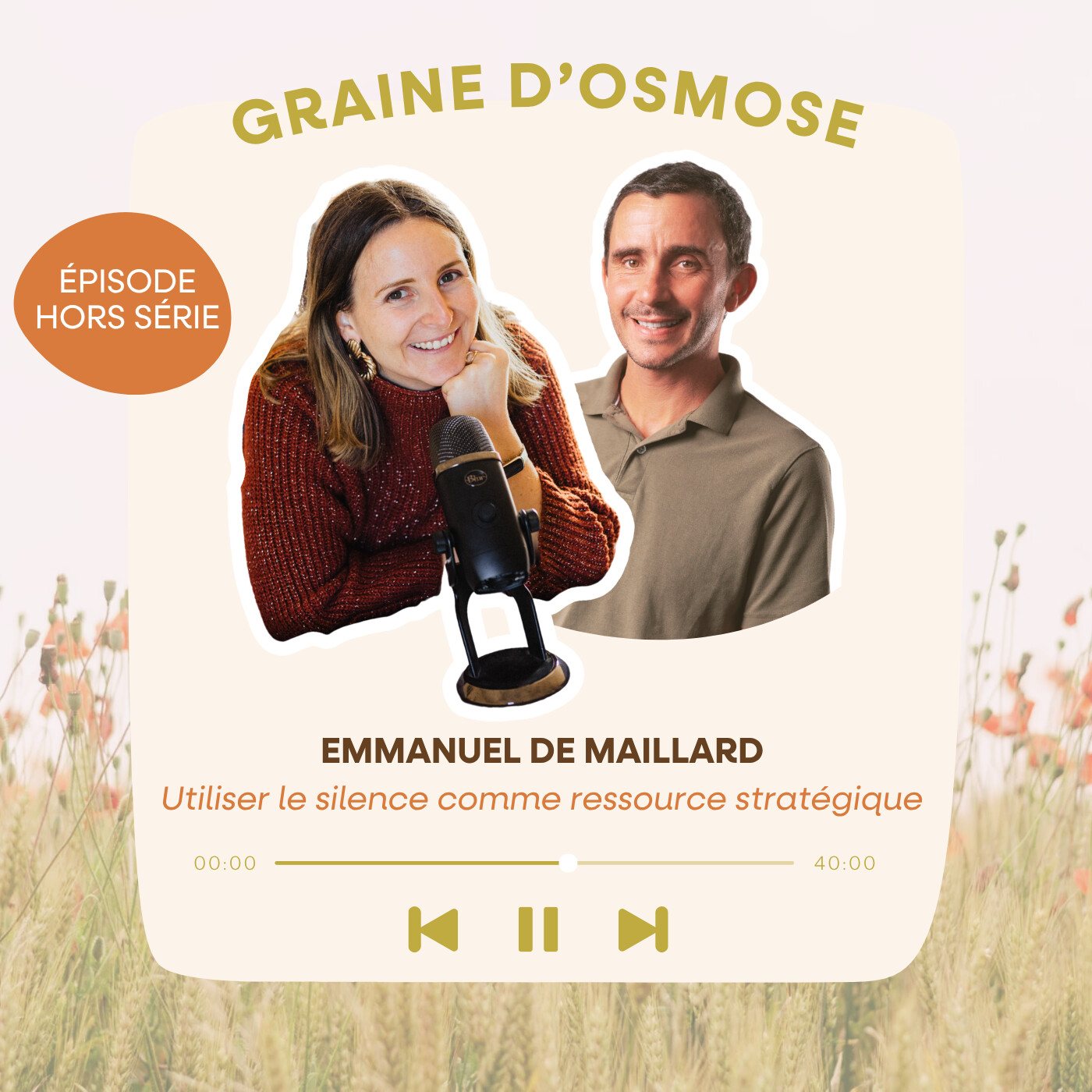 Hors série - Utiliser le silence comme ressource stratégique avec Emmanuel de Maillard episode artwork