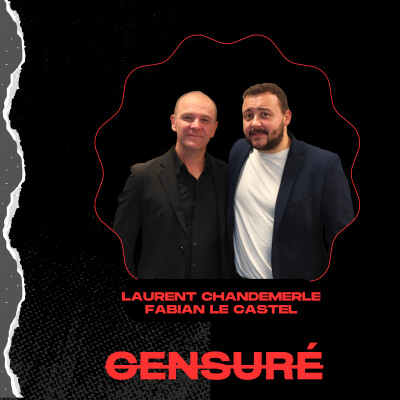 Laurent Chandemerle & Fabian Le Castel : "Des stars comme Patrick Bruel ont mal pris nos imitations" cover