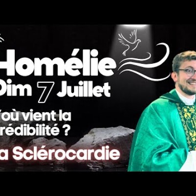 La sclérose du coeur : le coeur de Pierre • Dimanche 7 juillet Commentaire de l'Evangile | Homélie cover