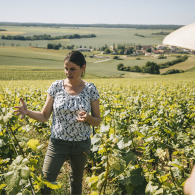 JE T'EMMÈNE DANS L'AUBE - L'œnotourisme cover