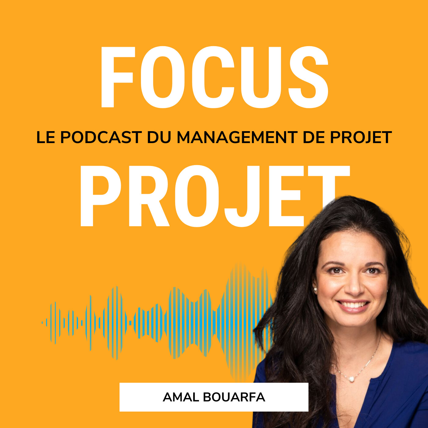 🔍 Focus Projet - Management de Projet, Gestion, Communication, Leadership, Conseil, Astuces et outils pour les chefs de projets