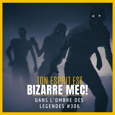 Dans l'ombre des légendes-306 Ton esprit est bizarre mec! cover