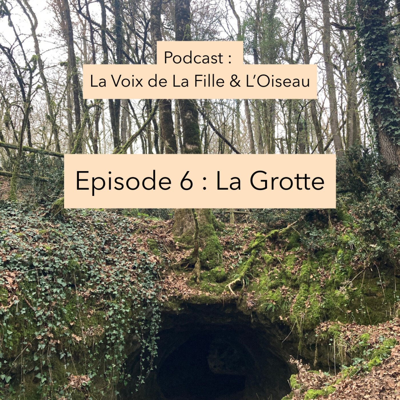 Episode 6 : La grotte episode artwork