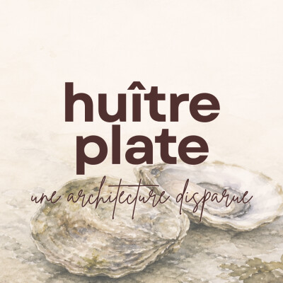 L'huître plate, le récif englouti cover