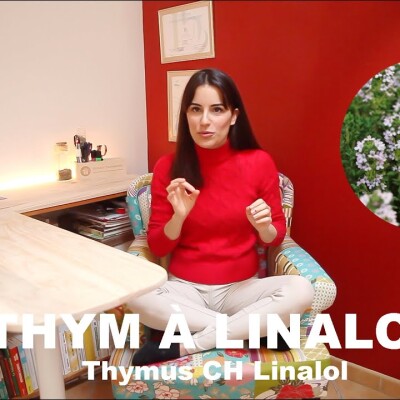 L'huile essentielle de Thym à Linalol - Force, chaleur & intégrité cover