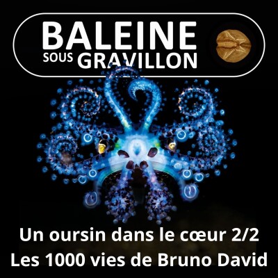 S08E17 Un oursin dans le cœur 2/2 : Passion Océan (Bruno David) cover