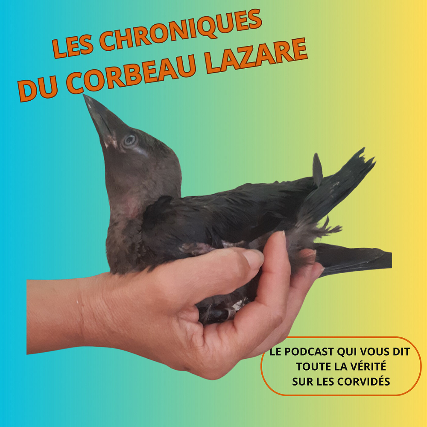 Les chroniques du corbeau Lazare