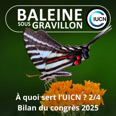 S07E44 C'est quoi l'UICN ? 2/4 : Ce qu'il faut retenir du congrès 2025 (Maud Lelièvre) cover