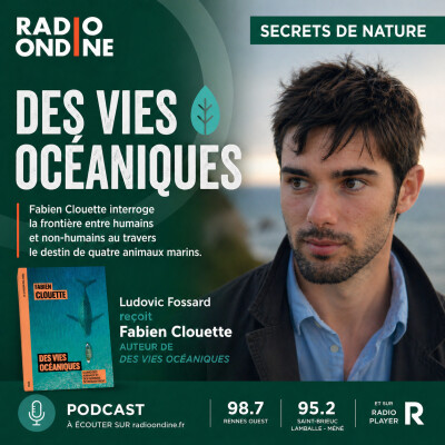 Rencontre avec Fabien Clouette - Des vies océaniques cover