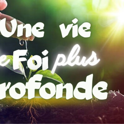 Parole et Évangile du jour | Dimanche 16 juillet • Gardez la parole en vos coeurs ! cover