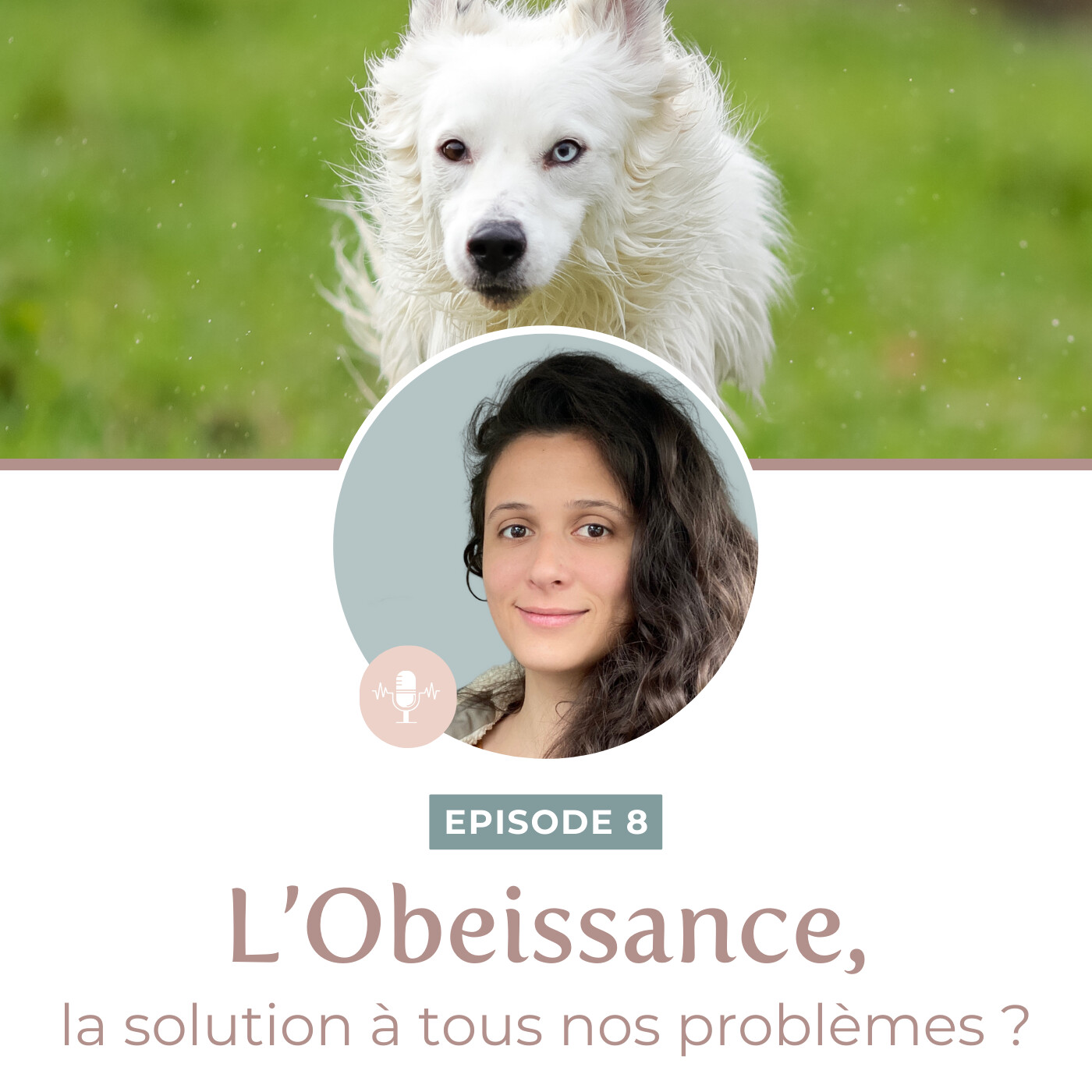Animale Therapie