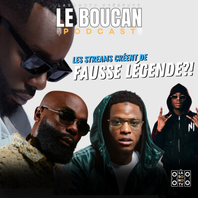 Le streaming crée-t-il de fausses légendes ? - LE BOUCAN cover