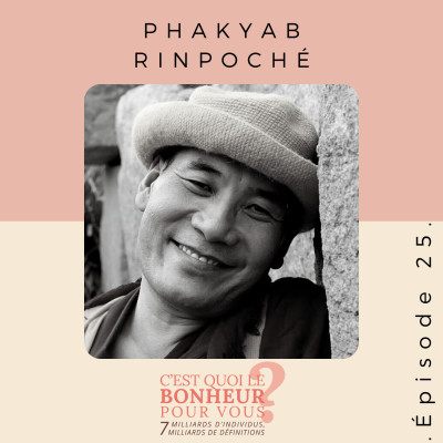 Phakyab Rinpoché 🇬🇧 (traduit par Sofia Stril-Rever) cover