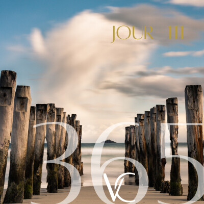 LIVE 365•111 Je ne soigne pas, je guéris pour être gai et rire ! cover