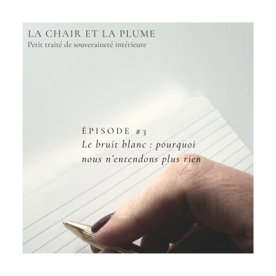 Cycle 1 - Episode 3 : Le bruit blanc : pourquoi nous n'entendons plus rien cover