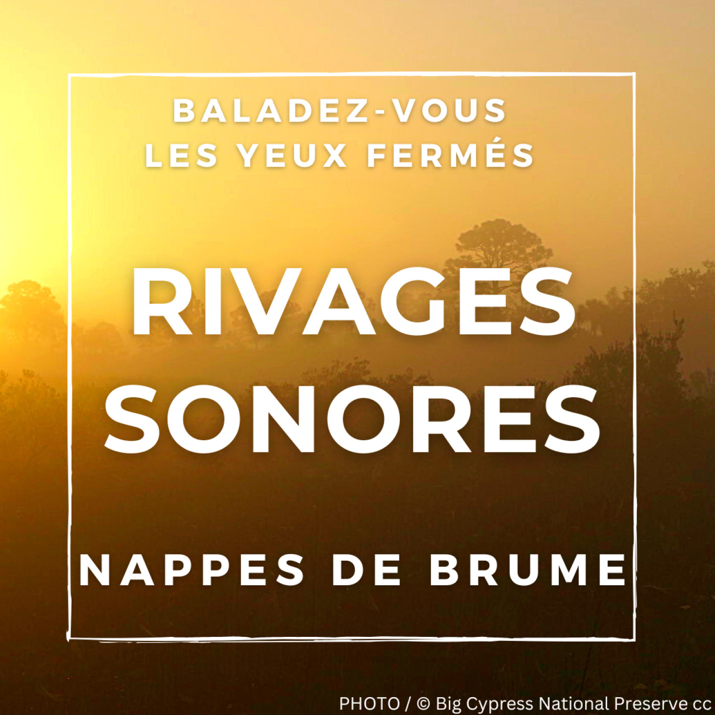 Nappes de brume